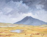 STORM OVER SLIEVEMORE by James Scott HRUA at Ross's Online Art Auctions
