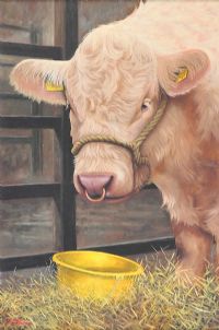 THE SHOW BULL by Keith Glasgow at Ross's Online Art Auctions