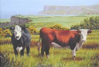 CATTLE GRAZING ON THE ANTRIM COAST by Keith Glasgow at Ross's Online Art Auctions