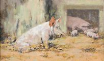 THE INQUISITIVE PIGLETS by Neville Barker at Ross's Online Art Auctions