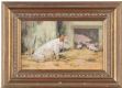 THE INQUISITIVE PIGLETS by Neville Barker at Ross's Online Art Auctions