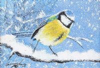 WINTER BLUE TIT by Andy Saunders at Ross's Online Art Auctions