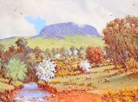 SLEMISH MOUNTAIN, COUNTY ANTRIM by David Overend at Ross's Online Art Auctions
