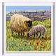 SHEEP IN THE POPPY FIELD by Ronald Keefer at Ross's Online Art Auctions
