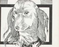 STUDY OF A DOG by Martin Hassan at Ross's Online Art Auctions