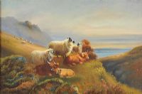 HIGHLAND CATTLE & SHEEP by G.F. White at Ross's Online Art Auctions