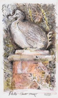 DODO, MOUNT STEWART, COUNTY DOWN by Elizabeth Taggart at Ross's Online Art Auctions