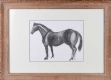 STANDING HORSE by Brian Merry at Ross's Online Art Auctions