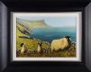 SHEEP ON THE ANTRIM COAST by Keith Glasgow at Ross's Online Art Auctions