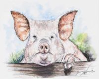 MR PIG by Andy Saunders at Ross's Online Art Auctions