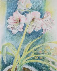 FLOWERS by Catherine Thompson at Ross's Online Art Auctions