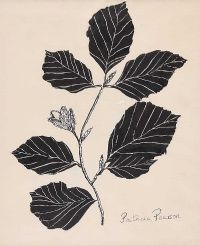 LEAF STUDY by Patricia Pearson at Ross's Online Art Auctions