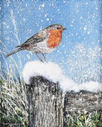 THE WINTER ROBIN by Andy Saunders at Ross's Online Art Auctions