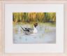 PINTAIL DUCK by Jane Meyler at Ross's Online Art Auctions