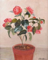 STILL LIFE, POTTED PLANT by Irish School at Ross's Online Art Auctions