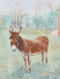 STANDING DONKEY by Irish School at Ross's Online Art Auctions