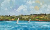SAILING ON STRANGFORD LOUGH by Alan Beers at Ross's Online Art Auctions