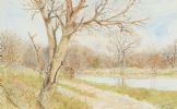 PATH BY THE RIVER by Colin Watson RUA at Ross's Online Art Auctions