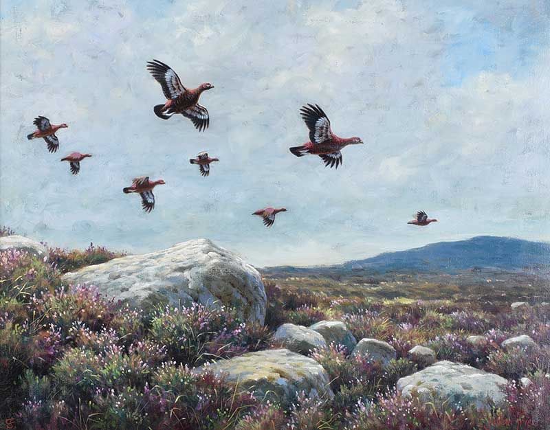 GROUSE OVER THE MOORS by Julian Friers RUA at Ross's Online Art Auctions