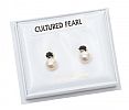 9CT GOLD CULTURED PEARL AND SAPPIRE EARRINGS at Ross's Online Art Auctions