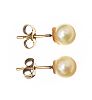 9CT GOLD CULTURED PEARL EARRINGS 
 at Ross's Online Art Auctions
