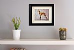 ITALIAN GREYHOUND by Con Campbell at Ross's Online Art Auctions