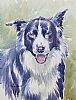 COLLIE DOG by Donna Crawshaw at Ross's Online Art Auctions