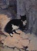 CAT RESTING by James English RHA at Ross's Online Art Auctions