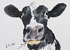 CURIOUS COW by Lorraine Kidd at Ross's Online Art Auctions