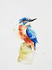 KINGFISHER by Elle Smith at Ross's Online Art Auctions