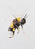 BUMBLE BEE by Elle Smith at Ross's Online Art Auctions