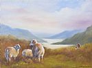 SHEEP GRAZING by Cathy Cooper at Ross's Online Art Auctions