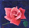 PINK ROSE by Silvia Stori at Ross's Online Art Auctions