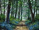 BLUEBELL FOREST by Andy Saunders at Ross's Online Art Auctions