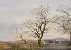 CREESLOUGH, DONEGAL by Frank Egginton RCA FIAL at Ross's Online Art Auctions