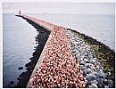 SOUTH WALL, DUBLIN by Spencer Tunick at Ross's Online Art Auctions
