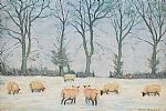 SHEEP IN THE SNOW by Barry McGloin at Ross's Online Art Auctions