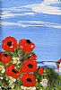 POPPIES BY THE SEA by E. Doyle at Ross's Online Art Auctions