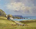 PORBRADDON FROM WHITEPARK BAY, COUNTY ANTRIM by Danny Todd at Ross's Online Art Auctions