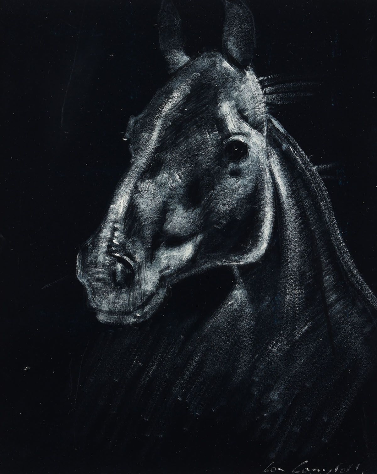 BLACK BEAUTY by Con Campbell at Ross's Online Art Auctions