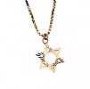 9CT GOLD STAR OF DAVID NECKLACE at Ross's Online Art Auctions