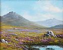 IN THE MOURNES by Nanee at Ross's Online Art Auctions
