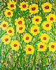MOTHERS DAFFODILS by David Wilson at Ross's Online Art Auctions