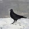RAVEN by Jeff Adams at Ross's Online Art Auctions