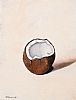 COCONUT by Kevin Meehan at Ross's Online Art Auctions