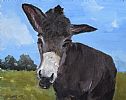 DONKEY by Jacinta Cotter at Ross's Online Art Auctions