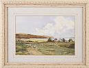 SHEEP GRAZING ON THE ANTRIM COAST by James McDonald at Ross's Online Art Auctions