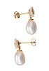 9CT GOLD PLATED PEARL AND SHELL EARRINGS at Ross's Online Art Auctions