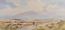 DONEGAL by Hamilton Sloan at Ross's Online Art Auctions