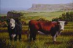 COWS ON THE ANTRIM COAST by Keith Glasgow at Ross's Online Art Auctions